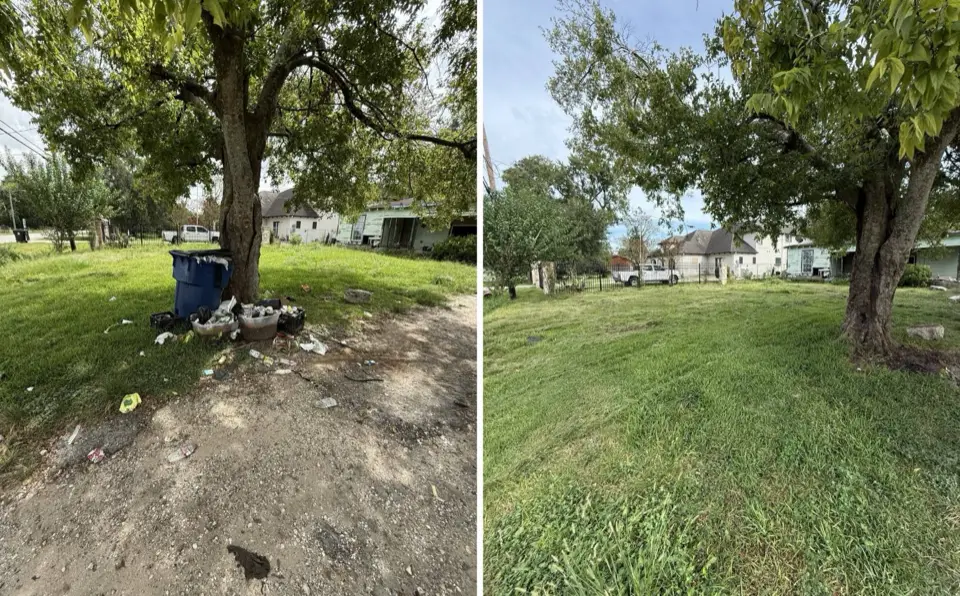 Before and after photos of a yard: before showing a trash can, crates, and litter under a tree in tall grass in front of a green house, after showing the same yard mowed clean and open with a pickup truck visible in the background.